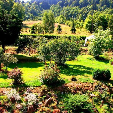 Agroturystyka Gluszyca Lomnica Lomnica  Buitenkant foto