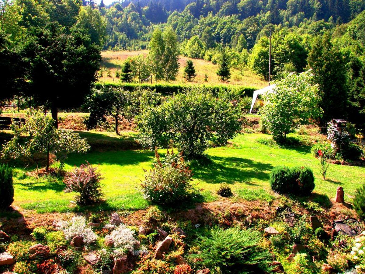 Agroturystyka Gluszyca Lomnica Lomnica  Buitenkant foto