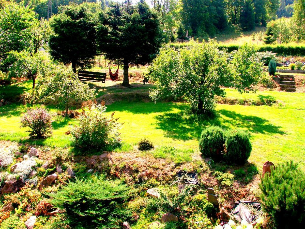Agroturystyka Gluszyca Lomnica Lomnica  Buitenkant foto