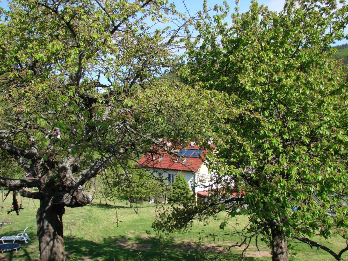 Agroturystyka Gluszyca Lomnica Lomnica  Buitenkant foto