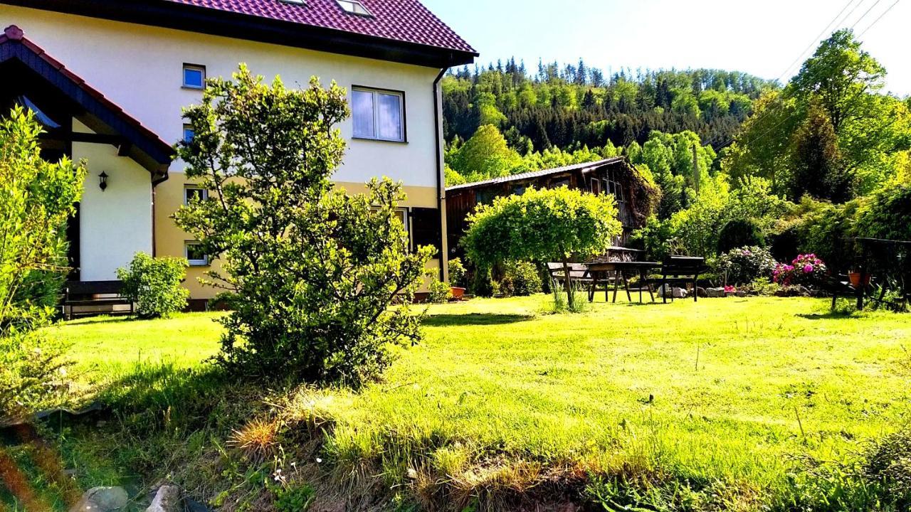 Agroturystyka Gluszyca Lomnica Lomnica  Buitenkant foto